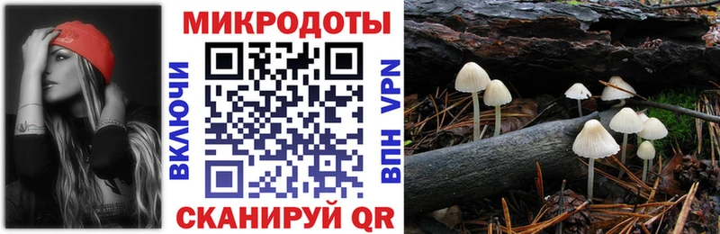 Купить закладки  Скопин  Псилоцибиновые грибы мицелий 